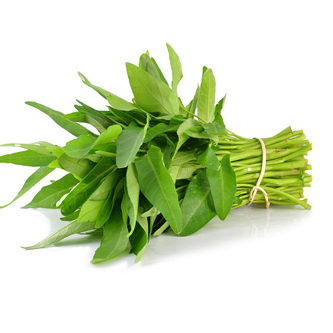 Rau muống