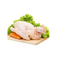 Gà ta nguyên con (1-1.6kg)
