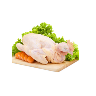 Gà ta nguyên con (1-1.6kg)