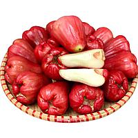 Roi đỏ An Phước 8-12 quả/kg,
(Không áp dụng tỉnh)